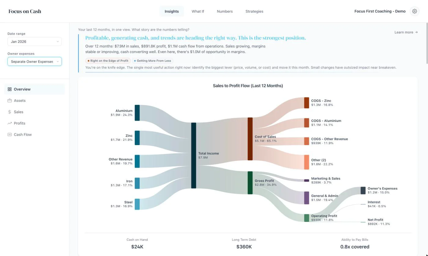 Owner expenses separated. The headline reads: Profitable, generating cash, and trends are heading the right way. The chart shows $1.2M of owner’s expenses as their own branch and a profit.